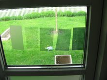 leje modvirke udløser Gratis vareprøve solfilm til vinduer